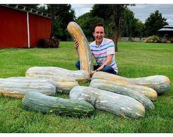 Lunga di Napoli Winter Squash Seeds: Italian Heirloom, Non-GMO