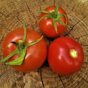 Arkansas Traveler, Tomato, Heirloom Garden Seeds Open Pollinated Container Gardening Vegetable Seeds Non-GMO Seed Packets Ozark Heirloom