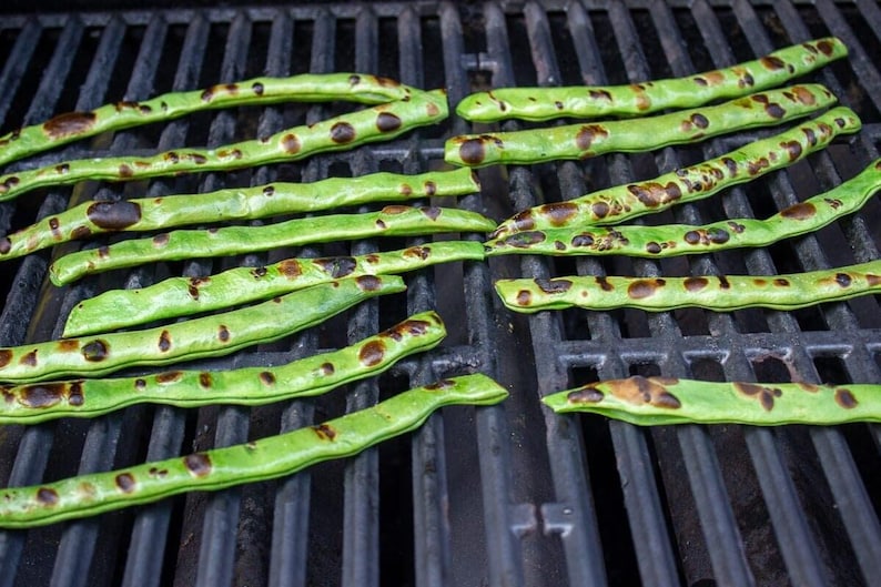 MountainRiverSeed Northeaster Pole Bean Seeds - Thumbnail 2