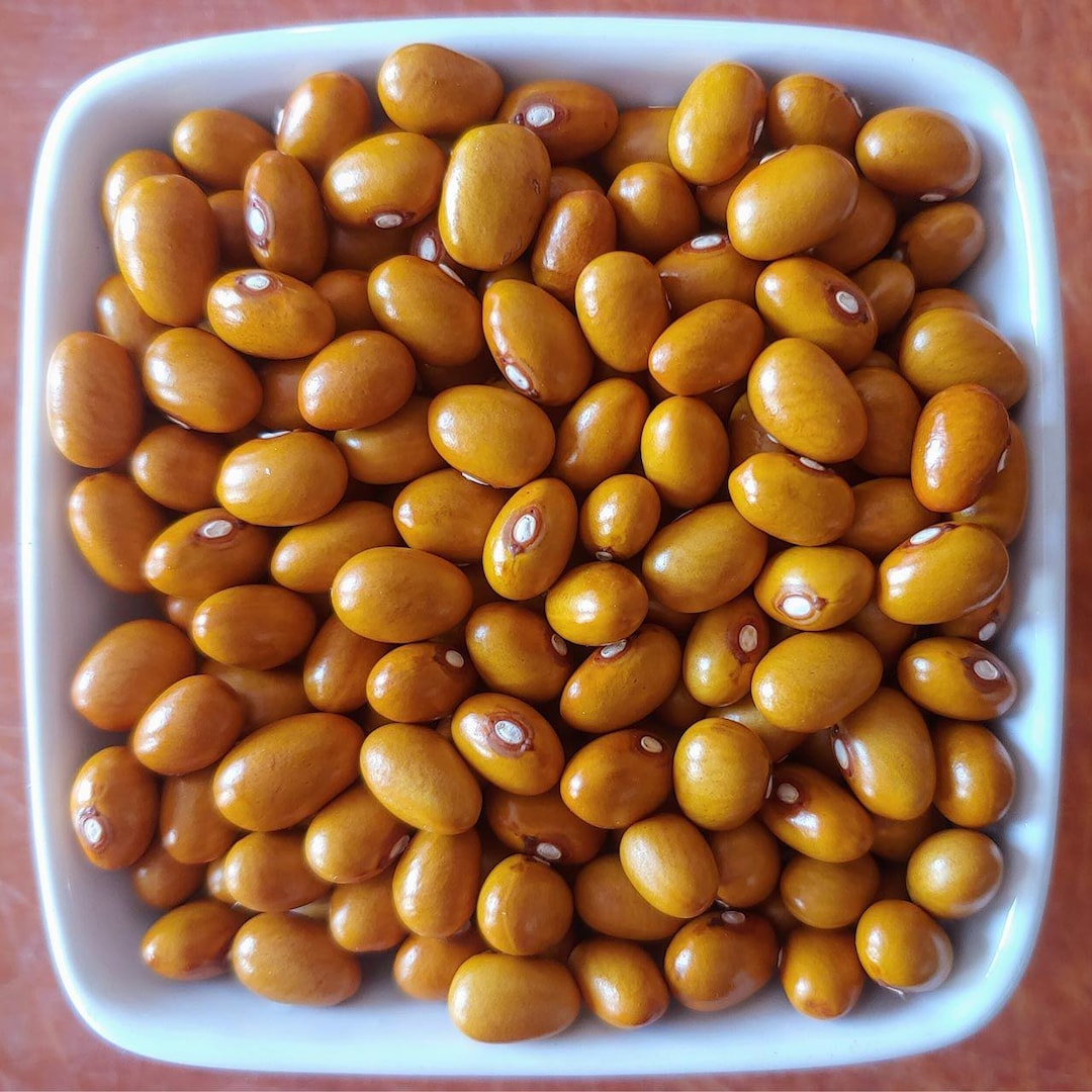 Marfax Dry Bean Seeds: Maine Organic Heirloom, Non-gmo - Etsy