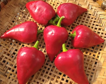 Lesya Sweet Pepper Seeds, Ukrainian Heirloom, Open Pollinated