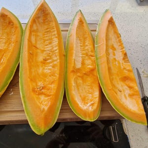 20+ Banana, Melon, Organic Heirloom Garden Melon Seeds - Non-GMO, Open Pollinated Vegetable Seed Packets for Container Gardening Cantaloupe