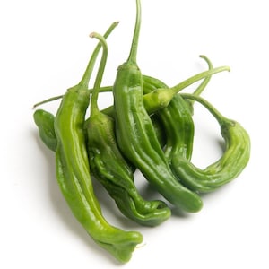 Shishito, Mild Hot pepper, Japanese Organic Heirloom Garden Seeds - Non-GMO, Open Pollinated Vegetable Seed Packets for Container Gardening