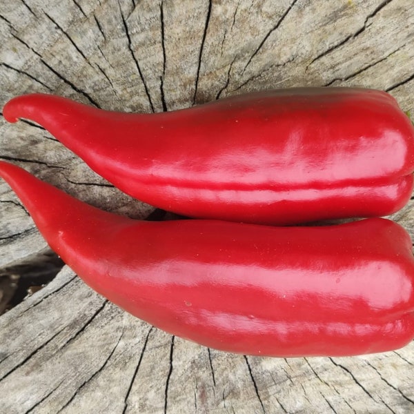 Chervena Chushka Sweet Pepper Seeds- Bulgarian heirloom sweet roasting pepper- Naturally Grown - Open Pollinated - Gardening - Non-GMO