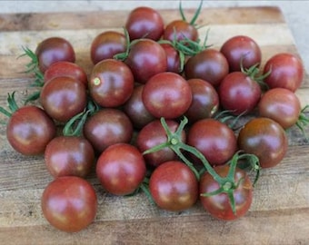 Chocolate Cherry Tomato Seeds: 20+ Organic Heirloom Seeds