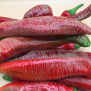 Rezha Macedonian, Hot Pepper, Organic Heirloom Garden Seeds - Non-GMO, Open Pollinated Vegetable Seed Packets for Container Gardening