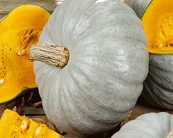 Sweet Keeper Winter Squash Seeds, Russian Heirloom, Non-GMO