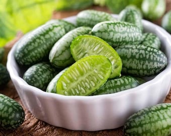 Cucamelon Seeds: Mexican Sour Gherkin, Heirloom Non-GMO
