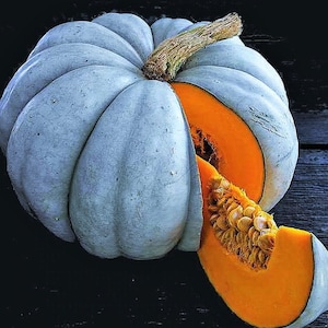Jarrahdale, Pumpkin, Winter squash, Rare Blue Organic Heirloom Vegetable Seeds Non-GMO Seed Varieties Bulk Pollinator-Friendly Garden Seed