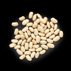 Chivo Blanco, Dry Bush Bean, Organic Mexican Heirloom Garden Seeds - Non-GMO, Open Pollinated Vegetable Seed Packets for Container Gardening