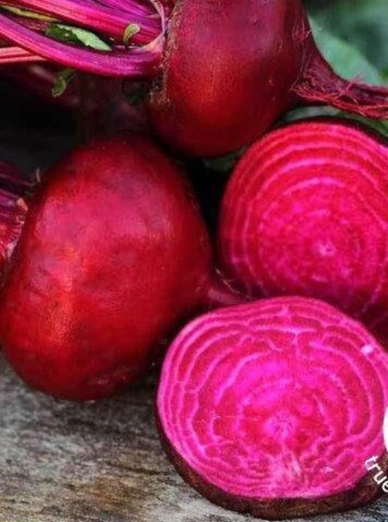MountainRiverSeed Crosby's Egyptian Beet Seeds - Thumbnail 4
