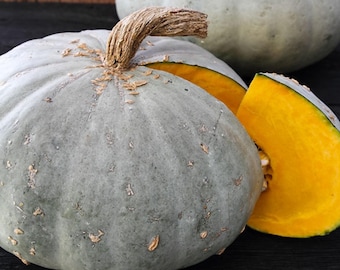 Sweet Meat Winter Squash Seeds: Heirloom, Open Pollinated, Non-GMO