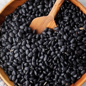 Chiapas Black, dry bush bean, Rare Organic Heirloom Garden Seeds - Non-GMO, Open Pollinated Vegetable Seed Packets for Container Gardening