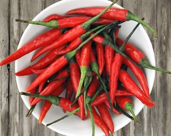 Thai Red Chile Pepper Seeds: Organic Heirloom Vegetable, Container Gardening