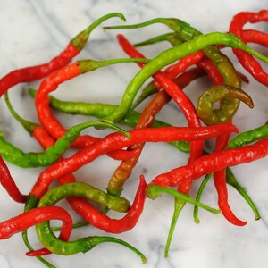Himo Togarashi, Sweet Pepper, Rare Organic Heirloom Garden Seeds - Non-GMO, Open Pollinated Vegetable Seed Packets for Container Gardening