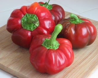 Sheepnose Pimento Pepper Seeds: Organic Heirloom Sweet Vegetable