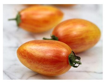 Blush Tiger Tomato Seeds: Organic Heirloom, Tropical Flavor