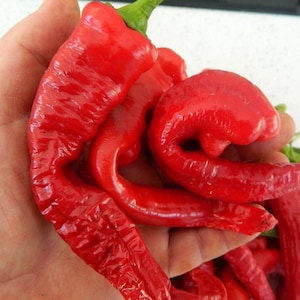 Cowhorn, Hot pepper, Organic Heirloom Garden Seeds - Non-GMO, Open Pollinated Vegetable Seed Packets for Container Gardening