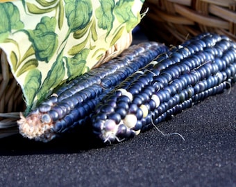 May include: Two ears of blue corn with dark blue kernels and white and yellow kernels at the ends. The corn is resting on a dark blue surface, with a basket and a green and yellow patterned cloth in the background.