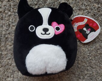 squishmallow boston terrier