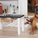 see more listings in the Elevated Dog Bowl Stand section