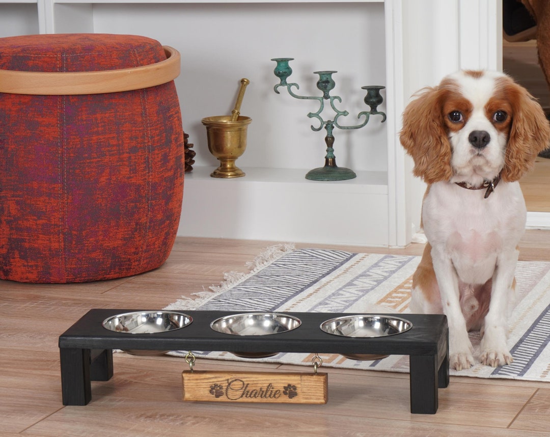 Raised Cat Feeder , Personalized Cat Feeding Stand, Cat Food Bowl, Cat