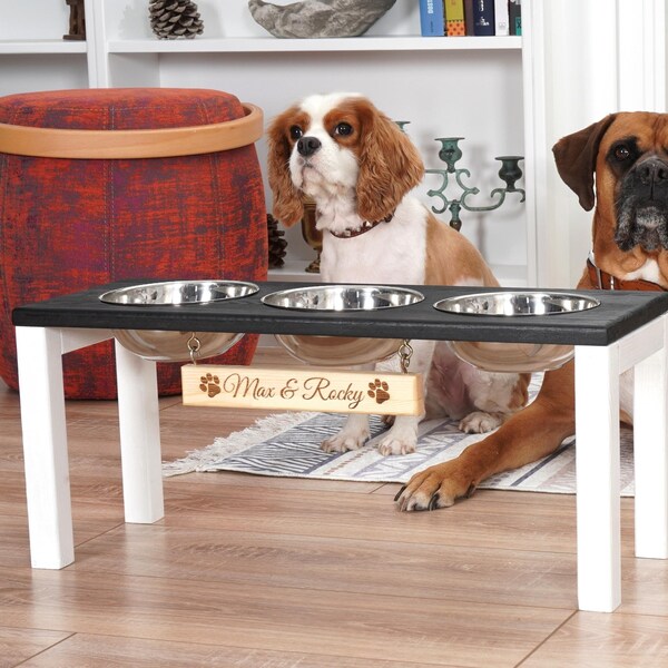 Teacup Dog Bowl Etsy