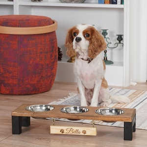 3 Bowl Cat Feeder, Home Decor Dog Feeding Station, Raised Wooden Dog Bowl Stand, Pet Feeder with Stainless Steel, Cat Food Bowl , Water Bowl