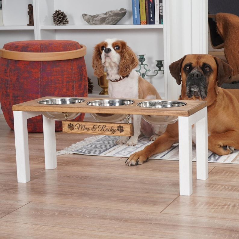 Custom Elevated 3 Bowl Dog Feeder, Pet Feeding Station With Bowl