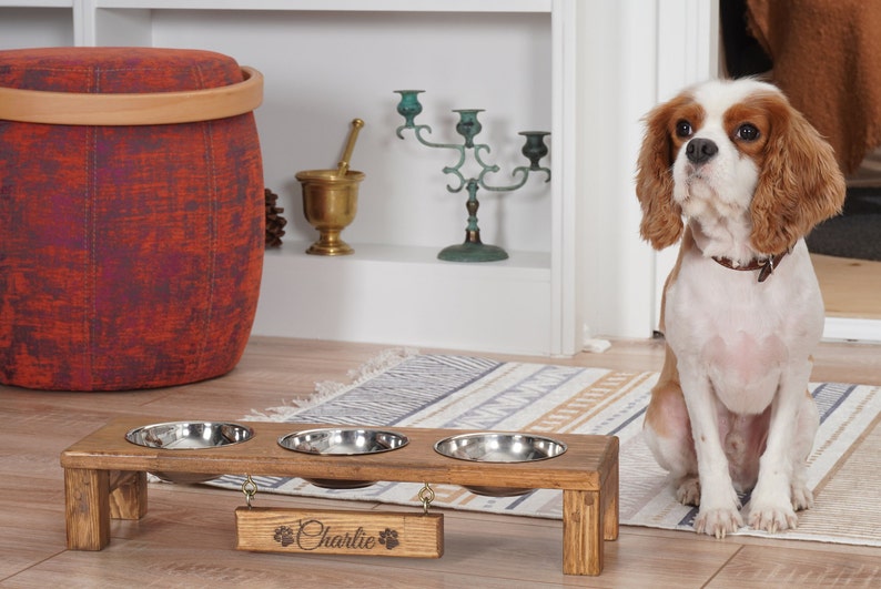 Personalized Cat Bowl Stand, Wooden Cat Feeder With Bowl, Small Dog