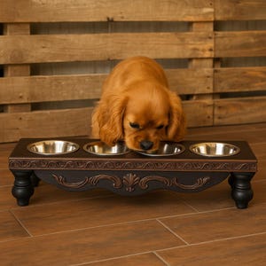 4 Bowl Pet Feeding Station, Small Cat&Dog Food Bowl, Multi Bowl Raised Pet Stand,Pet Supplies With Steel Bowl Stand,Elevated Cat Station