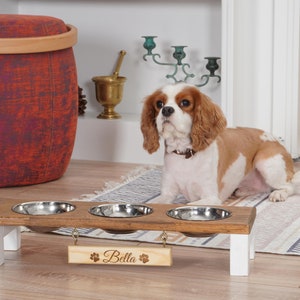 Small Dogs and Cat Feeding Station, Personalized Cat Bowl Stand, Elevated Pet Feeder, Wooden 3 Bowl Feeder with Shelves, Pet Furniture
