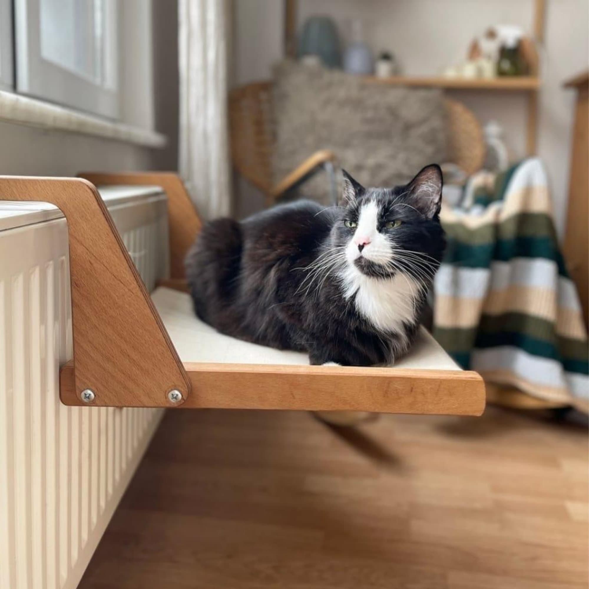 best cat radiator bed