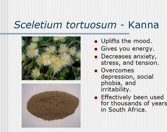 Sceletium tortuosum - Kanna