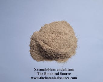 Uzara - Xysmalobium undulatum