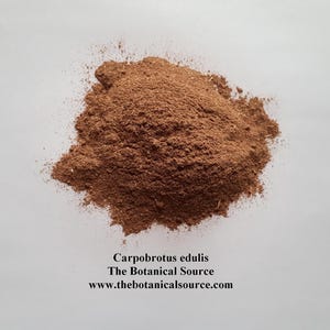 Carpobrotus edulis - Organic Powder