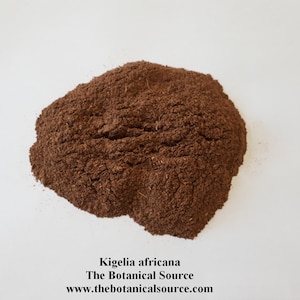 Kigelia africana - Mpfunguri - Arbre à saucisses