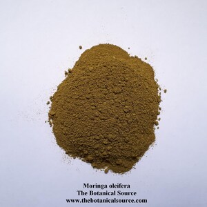 Moringa oleifera - Poudre de feuilles bio