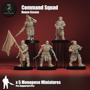 Może przedstawiać: Kolekcja pięciu miniaturowych figurek, każda w unikalnej pozie, stojących na przezroczystych cokołach na czerwonym tle. Figurki są ubrane w zbroje i trzymają broń lub flagę. Widoczny jest tekst "Command Squad" i "House Excess".