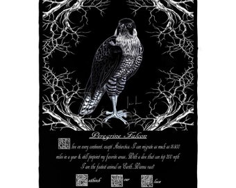 Peregrine Falcon Fleece Sherpa Blanket