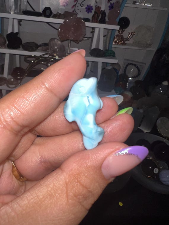 dolphins larimar
