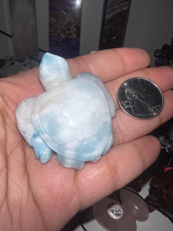 Larimar turtle