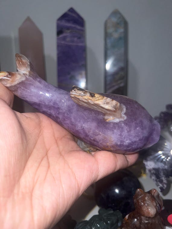 crazy lace x amethyst
