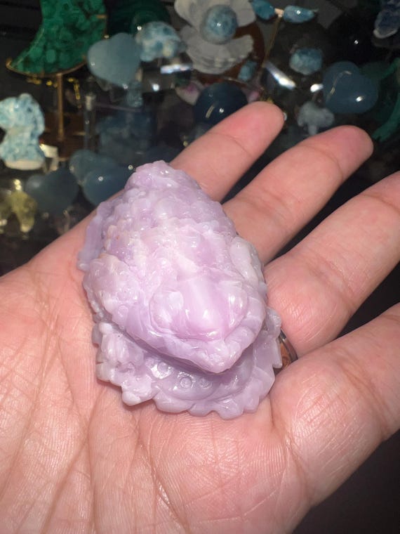 money toad kunzite with cats eye