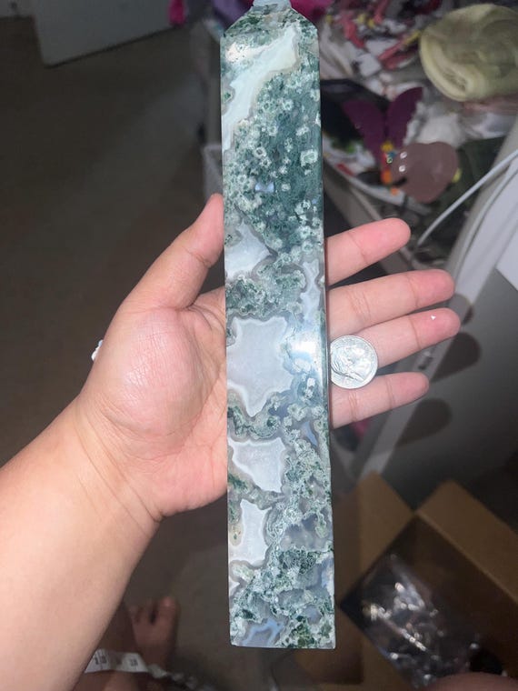 tower moss with uv rare