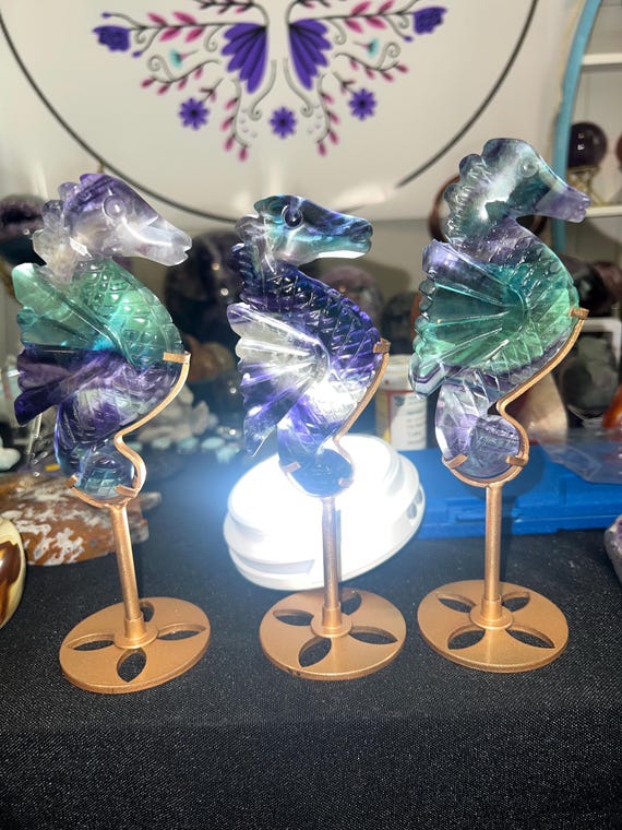 sea horse fluorite