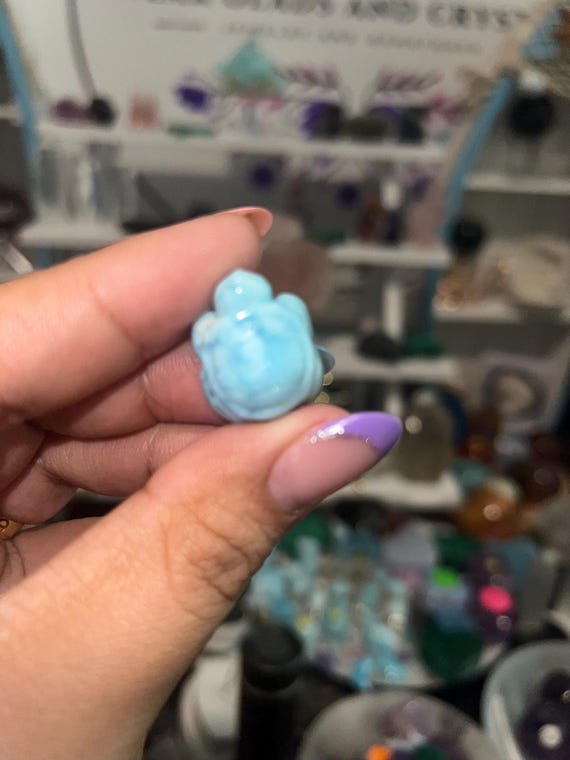 larimar mini turtle