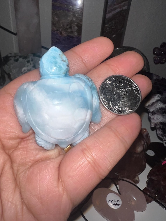 Larimar turtle