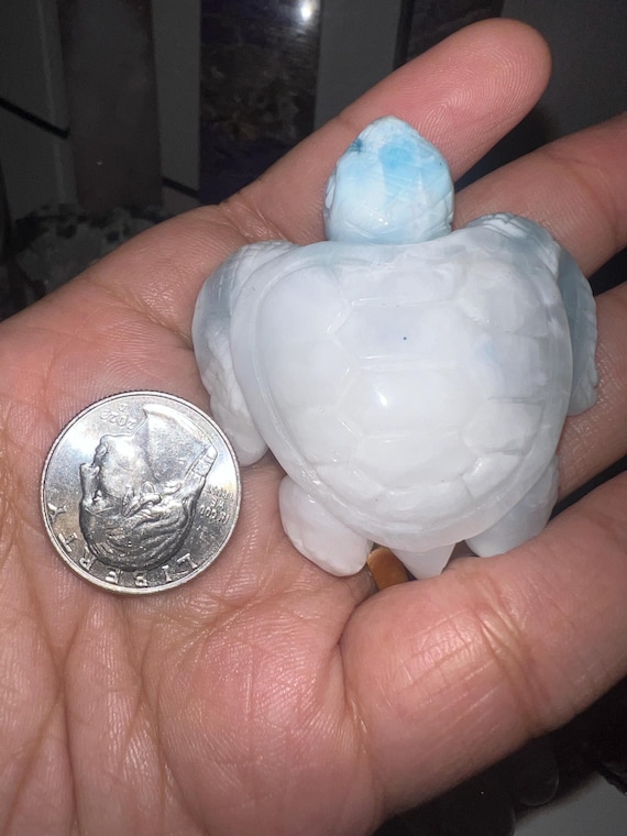 Larimar turtle