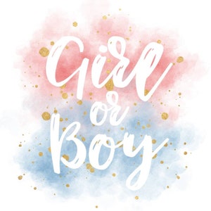 May include: A watercolor design with pink and blue hues, accented with gold flecks. The words "Girl or Boy" are written in white script. This image is suitable for a baby shower or gender reveal announcement.